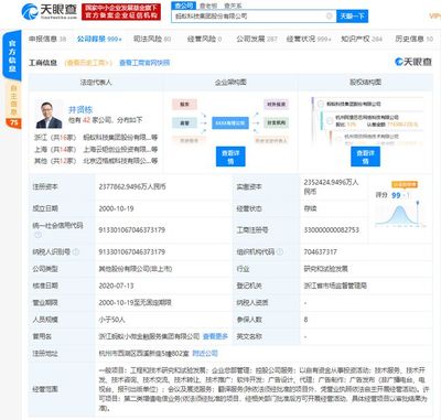 螞蟻集團上市在即，金融信息技術外包助推全球最大規模IPO