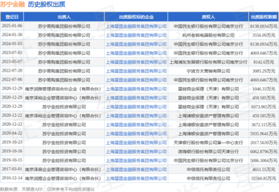 蘇寧金融8138萬元股權(quán)遭股東出質(zhì) 金融信息技術(shù)外包業(yè)務(wù)引關(guān)注